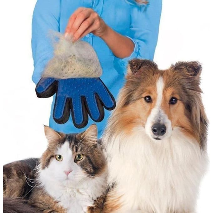 Gant brosse de toilettage - Silicone souple - 180 embouts - Pour chiens et chats