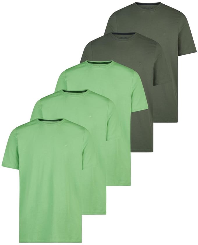 Redmond Heren t-shirt 5 pack Basic