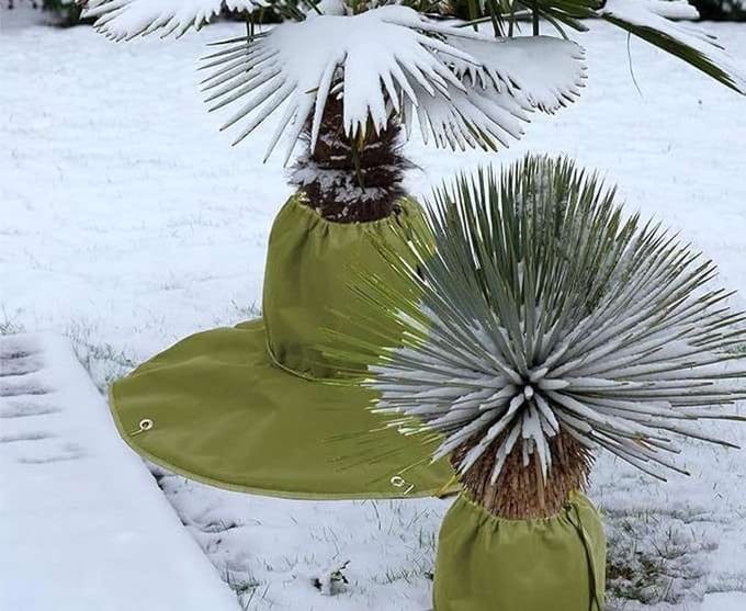 CE - Plantenbeschermhoes - Winterbescherming - Groen - 100 g/m²