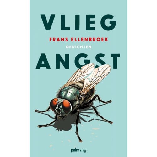 Vliegangst - Frans Ellenbroek