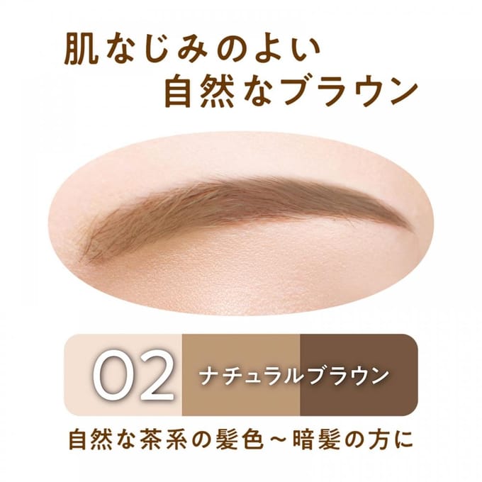 CEZANNE - Eyebrow & Shade Powder 02 Natural Brown