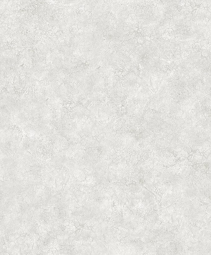 Dutch Wallcoverings - Structures- uni grijs - M550-00