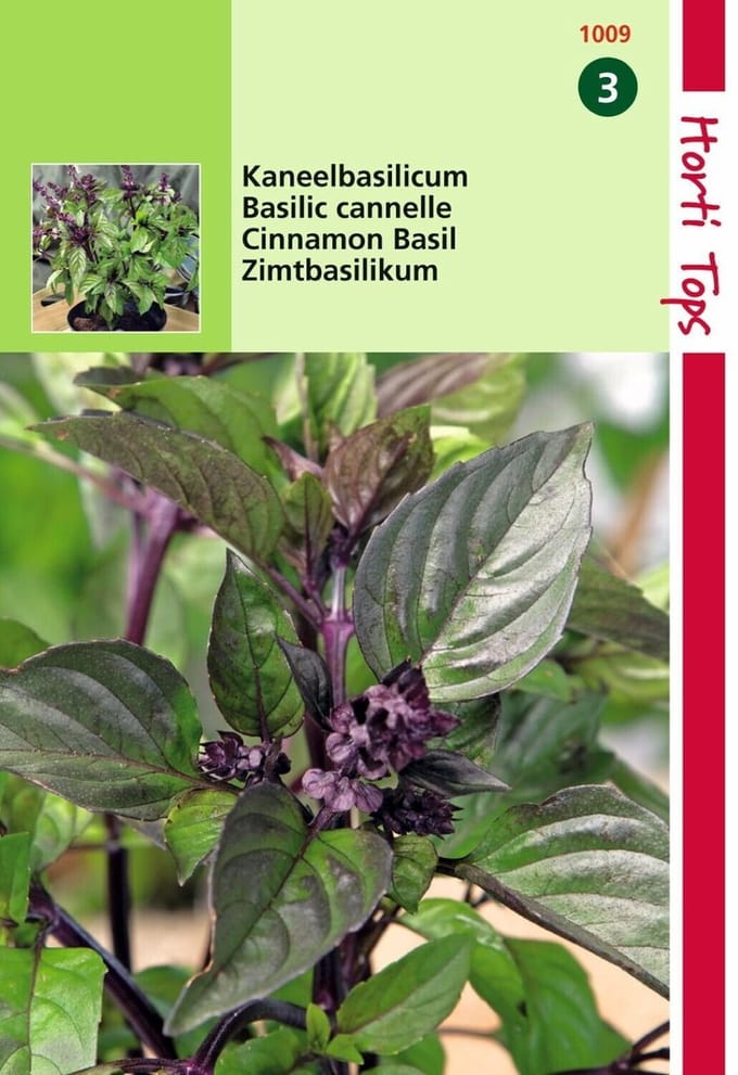 2 stuks - Hortitops - Basilicum Kaneelsmaak