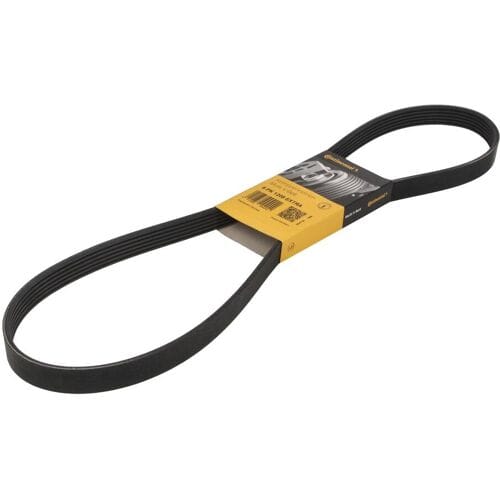 Continental Ctam Poly V-riem CONTINENTAL 6 PK 1208 EXTRA