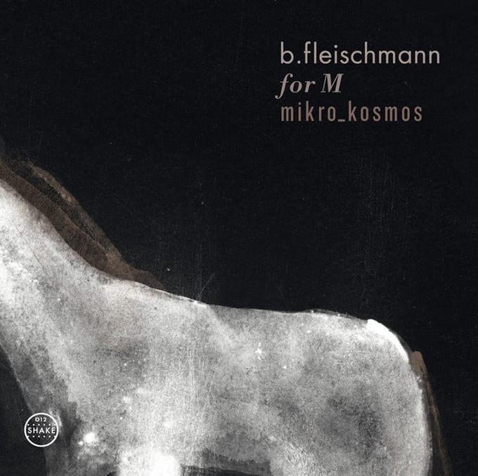 B. Fleischmann - For M / Mikro_Kosmos (2 CD)