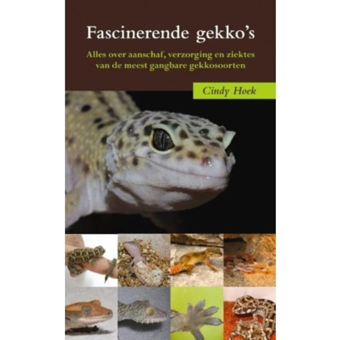 Fascinerende Gekko's - C. Hoek