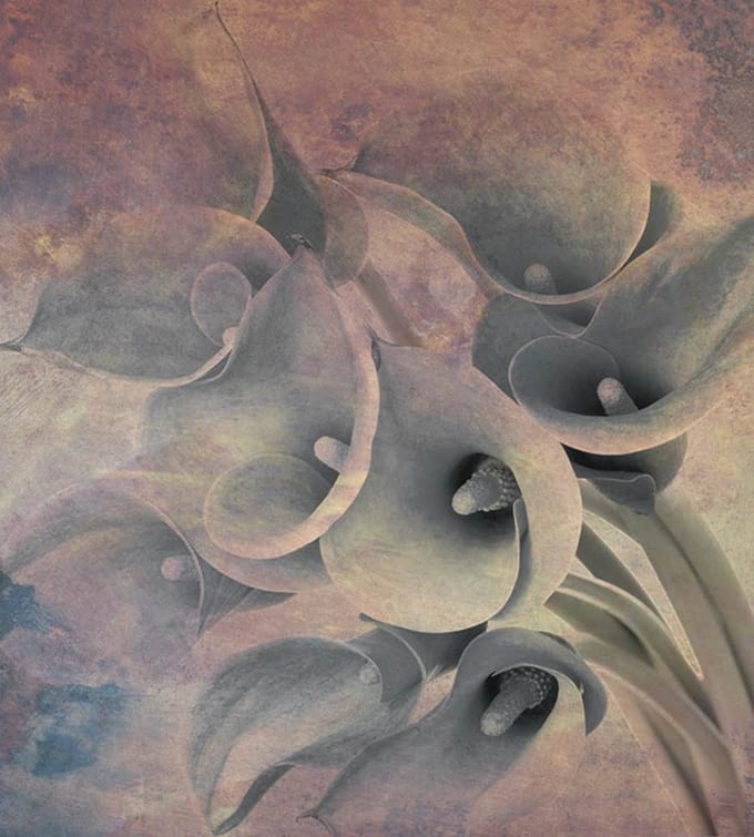 Fotobehang - Flower Abstract I 225x250cm - Vliesbehang