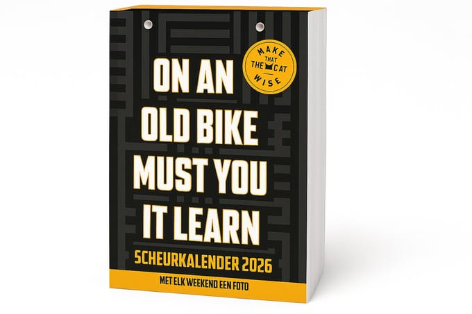 InterStat - Make That The Cat Wise - Scheurkalender - 2026
