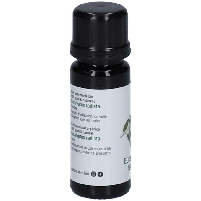 Oak Eucalyptus Radiata Essentiële Olie Bio 10 Etherische olie