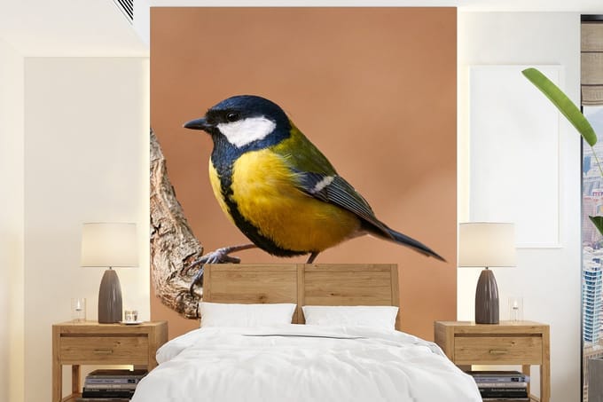 Behang - Fotobehang Vogel - Koolmees - Takken - Breedte 165 cm x hoogte 220 cm