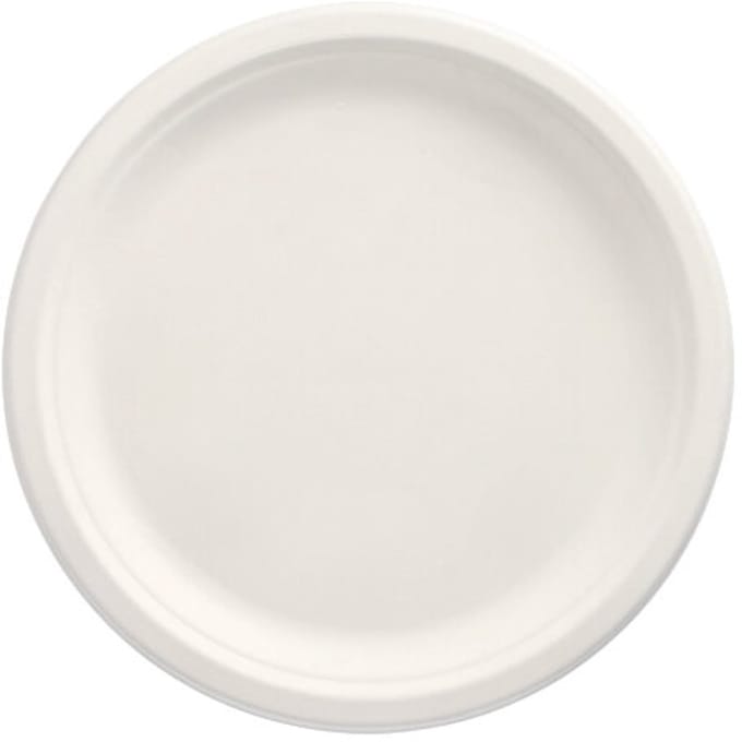10x 50 Borden van suikerriet pure 1-vaks Ø 26 cm · 2 cm wit
