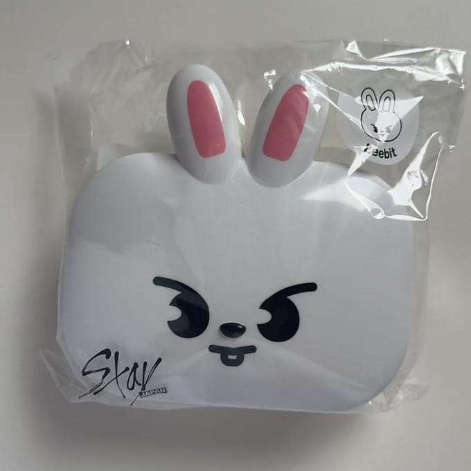 Stray kids World Tour Japan, SKZOO BOX Leeknow gray