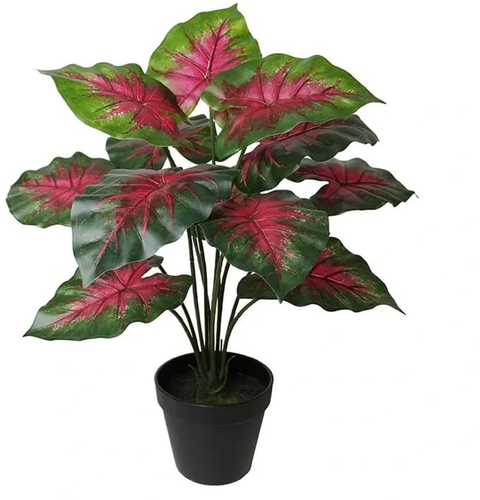 Kunstplant Caladium rood - 40cm