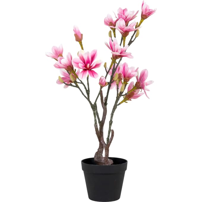 House Nordic Kunstplant Magnolia Tree 75cm