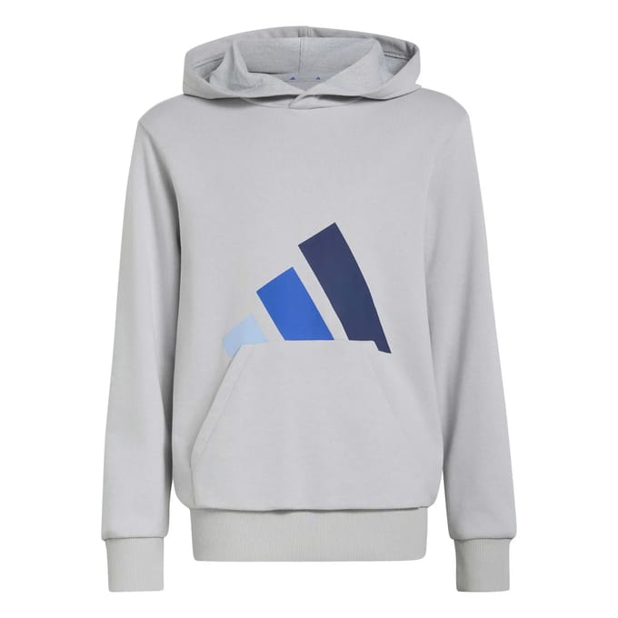 Adidas Essentials Hoodie Grijs 7-8 Years Kinderen