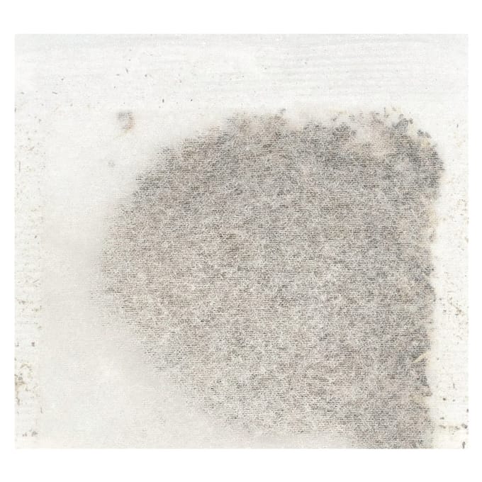 Tisane de Feuilles de Molène, Sans Caféine, 30 Sachets de Thé, 57G (2.01Oz) beige