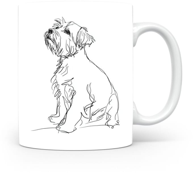 Beker Norfolk Terrier
