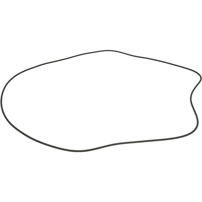 Versnellingsbak o-ring ZF 0501325573ZF