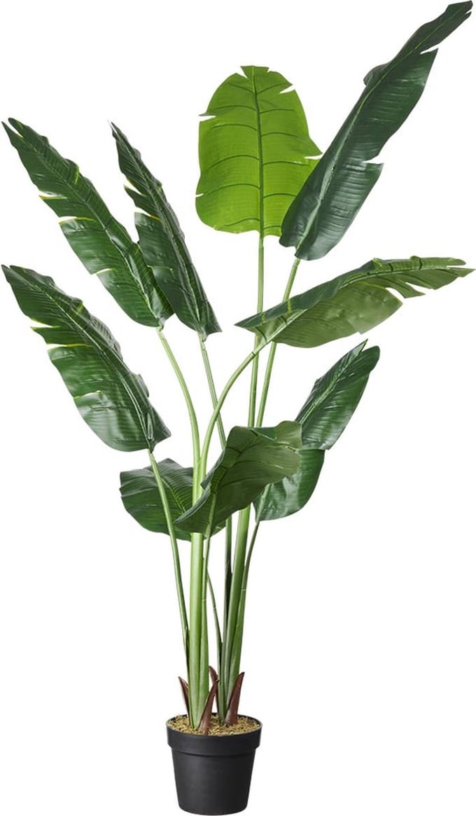 Kunstplant Strelitzia H160cm - HTT Decorations kunstplanten