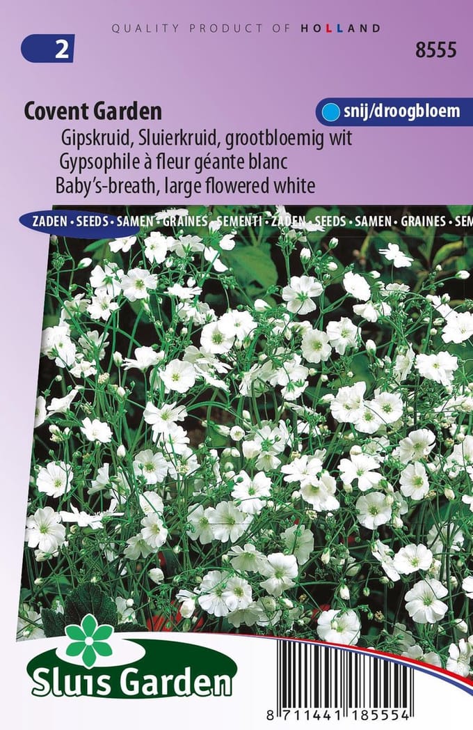 Sluis Garden - Gipskruid Covent Garden (Gypsophila)
