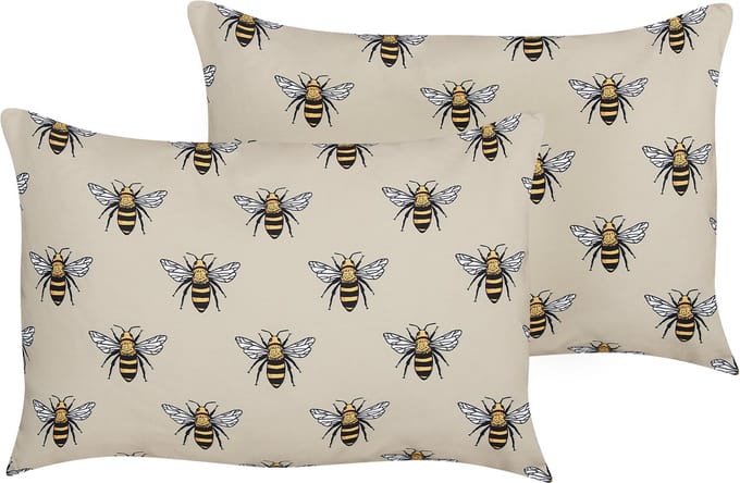 CANNETO - Tuinkussen set van 2 - Beige - 40 x 60 cm - Polyester