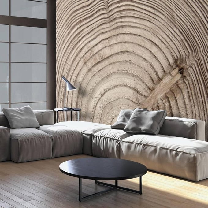 250cm X 175cm - Fotobehang - Jaarringen