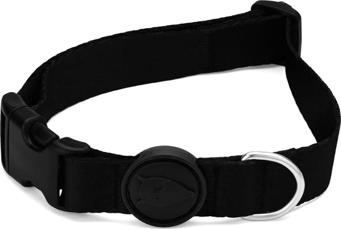 Morso - Halsband Hond - Gerecycled - Pureness - Zwart - 43-70X2.5 cm