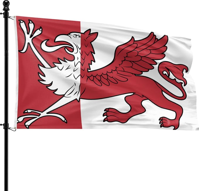VlagDirect - Ooststellingwerf vlag - Gemeente Ooststellingwerf vlag - 90 x 150 cm.