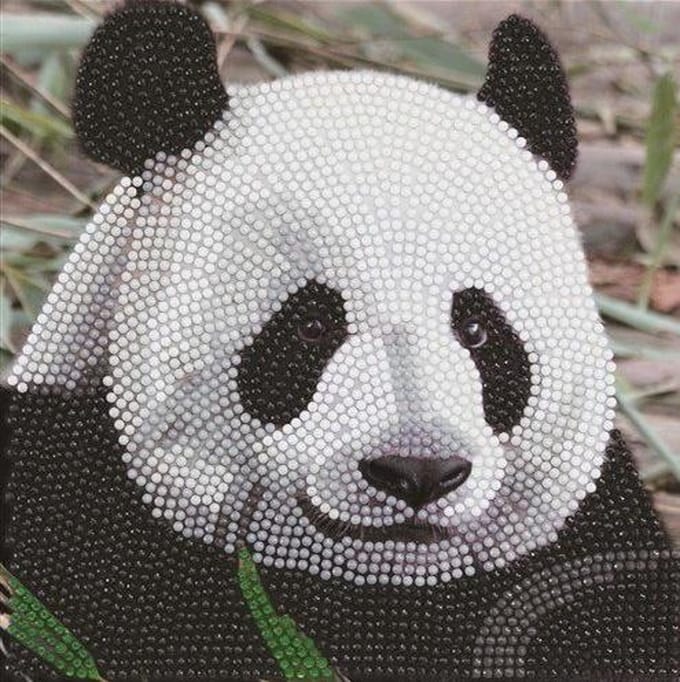 Crystal Card Kit | Diamond painting Funny Face Panda