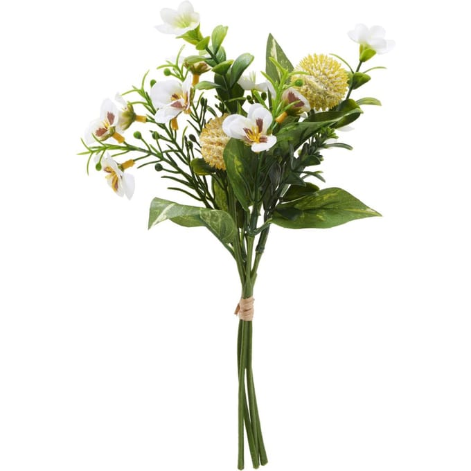 Bloementros "Viola" - Créme