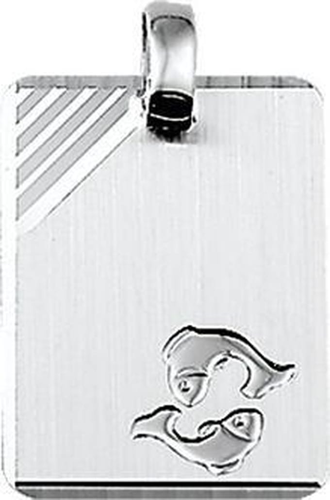 Graveerhanger sterrenbeeld Vissen gediamanteerd - PSN1323569