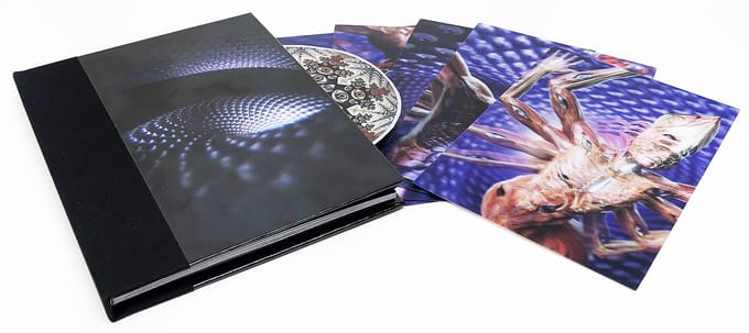 Tool CD - Fear inoculum - voor Geen - standaard