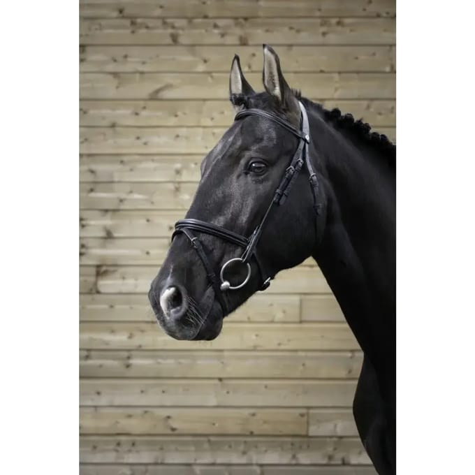 Hoofdstellen Norton Pro Fin