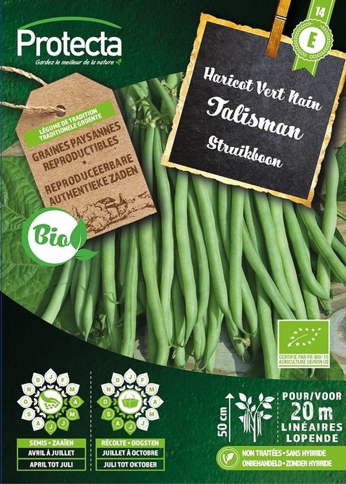 Protecta Groente zaden: Struikboon Talisman Biologisch