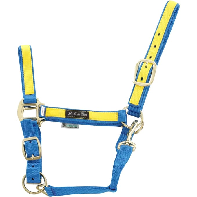 Kleurige nylon halster voor paard Umbria Equitazione