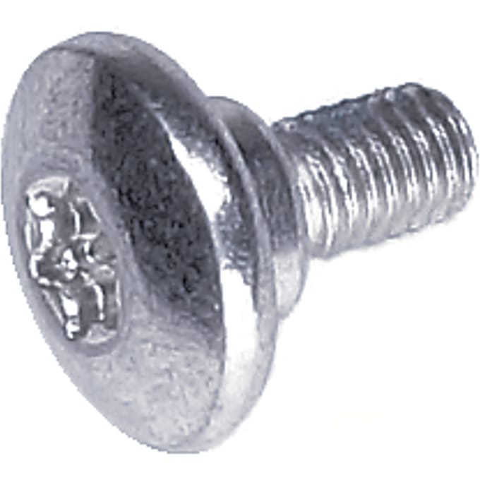 Screw