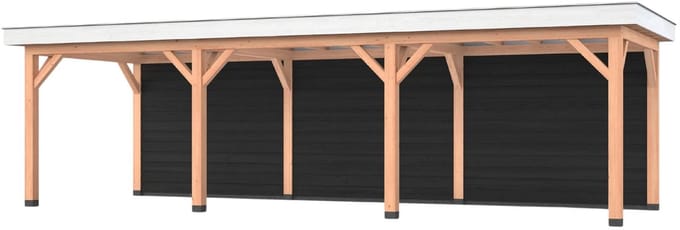Douglas overkapping, 900 x 300, met achterwand, Westwood Holland Basic