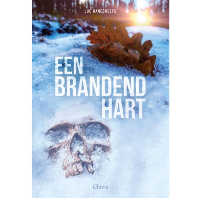 Een Brandend Hart - Luc Hanegreefs