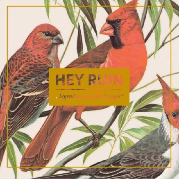 Hey Ruin - Irgendwas Mit D Schungel (CD)
