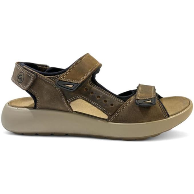 Ara 11-21506 piero