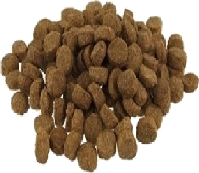 Hondenvoer  10 kg | Voerbaas Senior Brokken