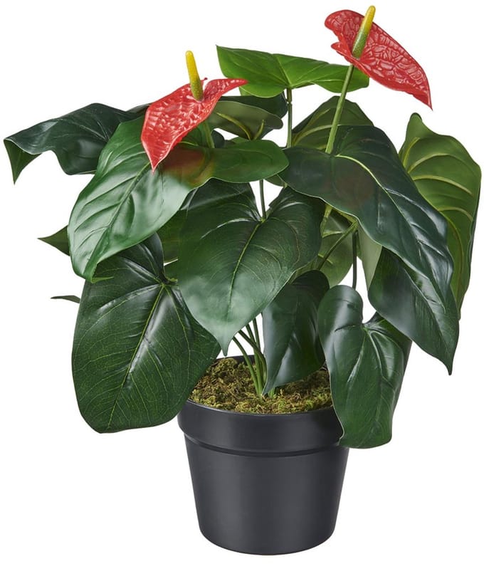 Kunstplant Anthurium H40cm - HTT Decorations kunstplanten
