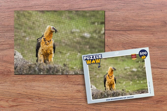 Puzzel Een Baardgier op jacht - Legpuzzel - Puzzel 500 stukjes
