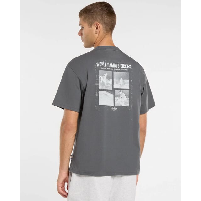 Dickies T-shirt - WOLFHURST TEE - S tot XXL - voor Mannen - charcoal