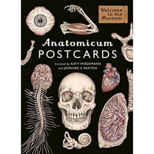 Anatomicum Postcard Box - Jennifer Z Paxton