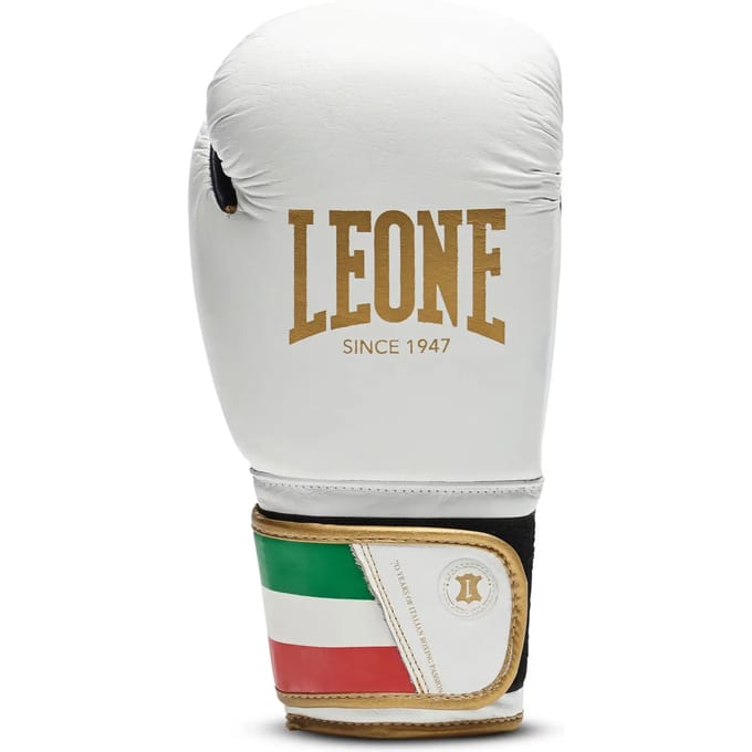 Bokshandschoenen Leone Italy