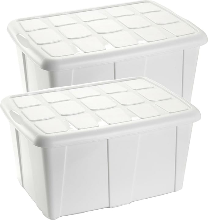 Plasticforte Opbergbox met deksel - 2x - Wit - 60L - kunststof - 63 x 46 x 32 cm