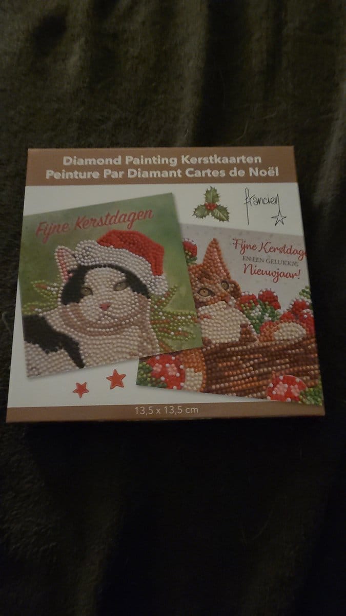 Wenskaarten set - 2x Franciens katten - kerstkaarten set - Diamond painting