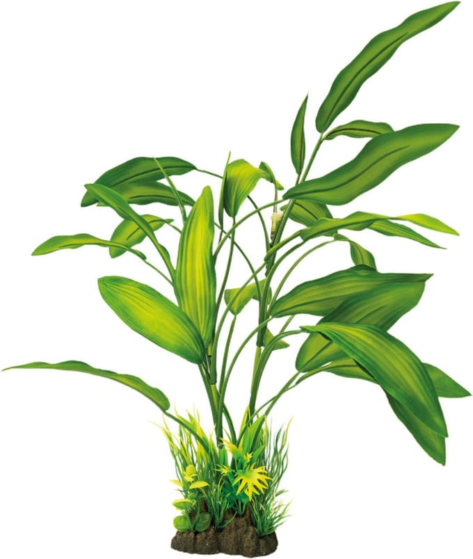Superfish Art Plant Cryotocoryne 40cm