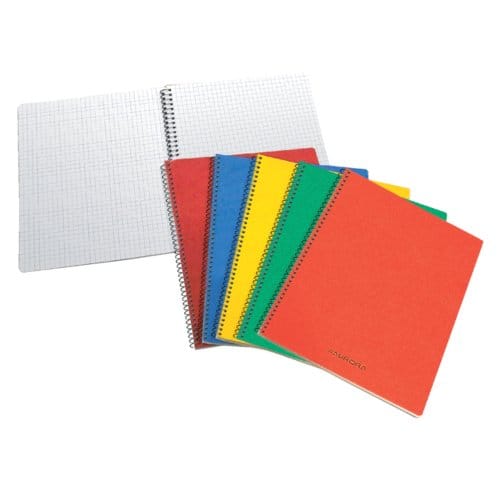 Schrift Aurora 80x135mm ruit 5x5mm 200 pagina's 60gr assorti